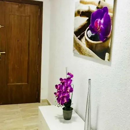 Apartment Boutique By The Sea *